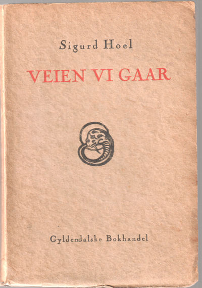 Veien vi gaar