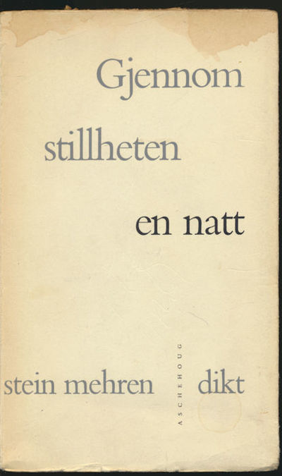 Gjennom stillheten en natt