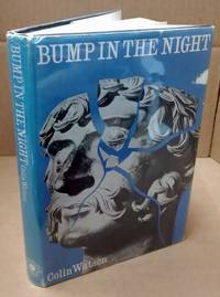 BUMP IN THE NIGHT