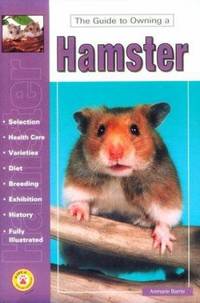 Guide to Owning a Hamster