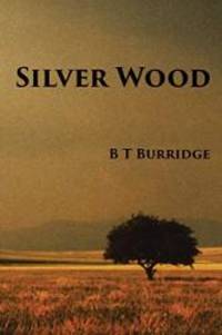 Silver Wood by B T Burridge - 2016-01-20