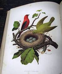 NESTS AND EGGS OF BIRDS OF THE UNITED STATES by Thomas GENTRY - First Edition - 1882 - from Charles Agvent (SKU: 017493)