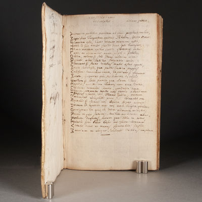 REGIMEN SANITATIS MANUSCRIPT DOUBLES...; (photo 1)