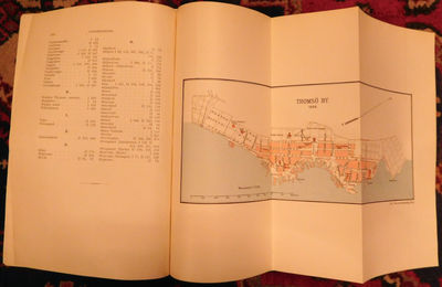 Topografisk-statistisk Beskrivelse over Tromsø Amt. Første del: Den almindelige del. Anden del: Tromsø by og herrederne. I-II i ett bind. (photo 4)