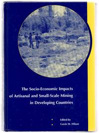 image of The Socio-Economic Impacts of Artisanal and Small-Scale Mining in Developing Countries
