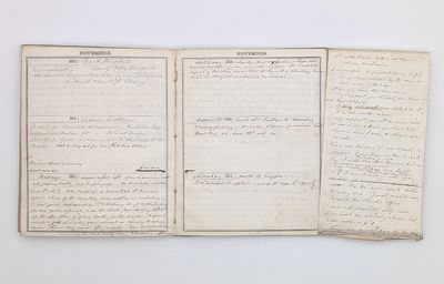Diary and manuscript archive of...; (photo 1)