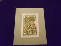 Paradisi in Sole Paradisus Terrestris or, Garden of All Sorts of Pleasant Flowers…