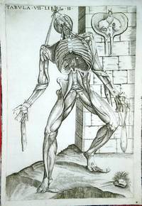 Anatomia del corpo humano nuovamente ristampata e con l