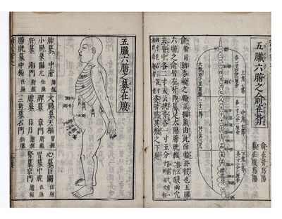 Saiseihō 濟生寶 [Rescuing Lives, a Treasure House]