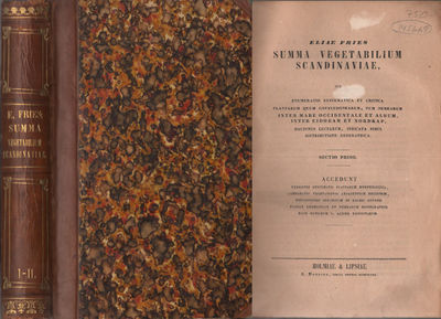 SUMMA VEGETABILIUM SCANDINAVIAE, seu enumeratio…