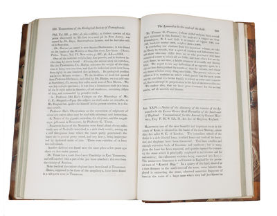 On the conditionof Vesuvius in July, 1834. (photo 2)