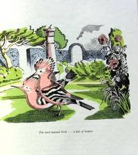 image of THE NATURAL HISTORY OF SELBORNE
