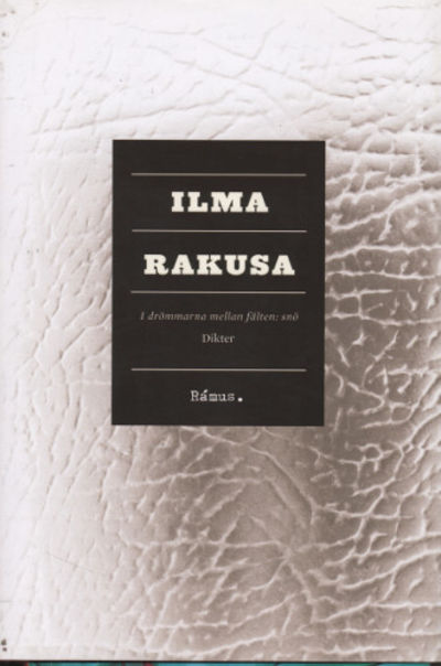 I DRÖMMARNA MELLAN FÄLTEN: SNÖ.