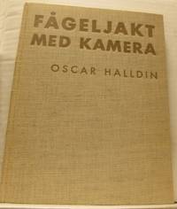 Fågeljakt med kamera.