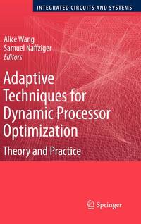 Adaptive Techniques for Dynamic Processor Optimization: Theory and Practice