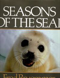 Seasons of the Seal: A Tribute to the Ice Lovers