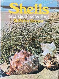 Shells and shell collecting