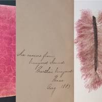 An Album of Late 19th Century Sea Mosses (Vineyard Sound, Martha's Vineyard)