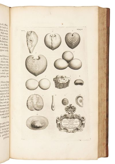 The Natural History of Oxford-shire,...; (photo 9)