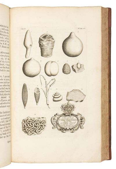 The Natural History of Oxford-shire,...; (photo 10)