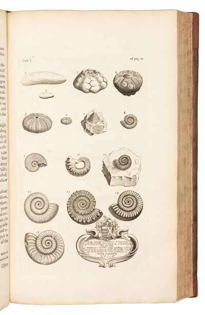 The Natural History of Oxford-shire,...; (photo 11)