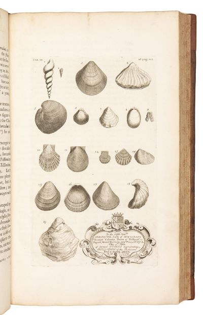The Natural History of Oxford-shire,...; (photo 12)