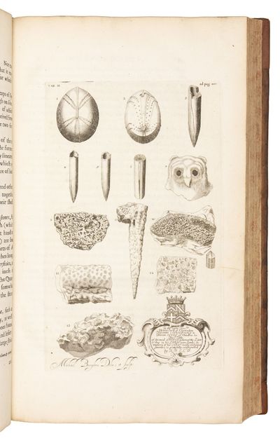 The Natural History of Oxford-shire,...; (photo 13)