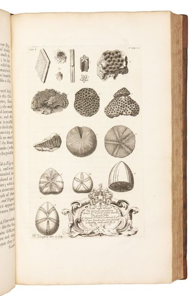 The Natural History of Oxford-shire,...; (photo 14)
