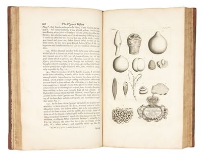 The Natural History of Oxford-shire,...; (photo 16)