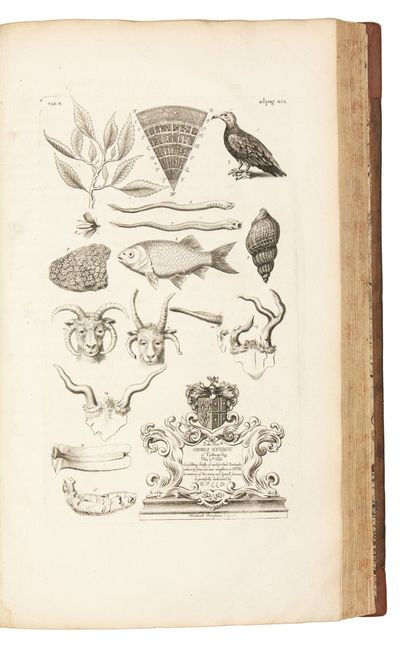 The Natural History of Oxford-shire,...; (photo 4)