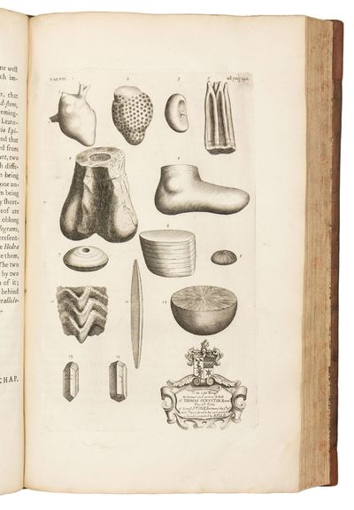 The Natural History of Oxford-shire,...; (photo 8)