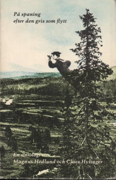 PÅ SPANING EFTER DEN GRIS SOM FLYTT.