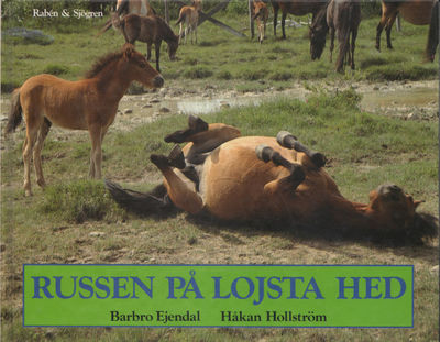 RUSSEN PÅ LOJSTA HED. De viltgående hästarna på…