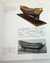 SHIP MODELS: THEIR PURPOSE AND DEVELOPMENT FROM 1650 TO THE PRESENT