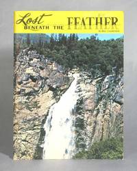 image of Lost Beneath The Feather