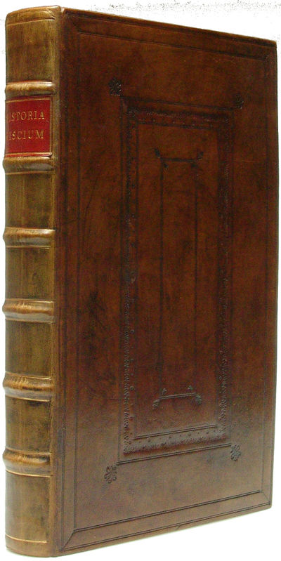 De Historia Piscium Libri Quatour, Jussu & Sumptibus Sociatatis Regiae Londinensis editi. ... Totum Opus. Recognovit, Coaptavit, Supplevit, Librum etiam primum & secundum integros adjecit Johannes Raius e Societate Regia. - [THE FIRST LARGE ENGLISH WORK ON ICHTHYOLOGY] (photo 7)