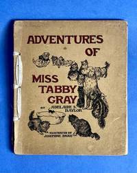 Adventures of Miss Tabby Gray