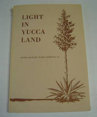 image of Light in Yucca Land