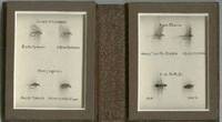 A Book of Small Flies, by Rene Harrop, Poul Jorgensen, Eric Leiser, John Merwin, S. A. Neff, Jr....