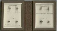 A Book of Small Flies, by Rene Harrop, Poul Jorgensen, Eric Leiser,  John Merwin, S. A. Neff, Jr....