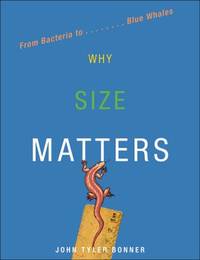 Why Size Matters : From Bacteria to Blue Whales