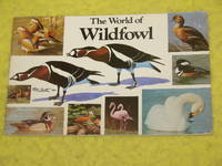 The World of Wildfowl