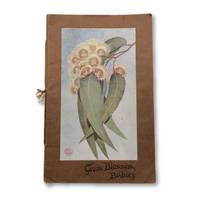 image of Gum Blossom Babies