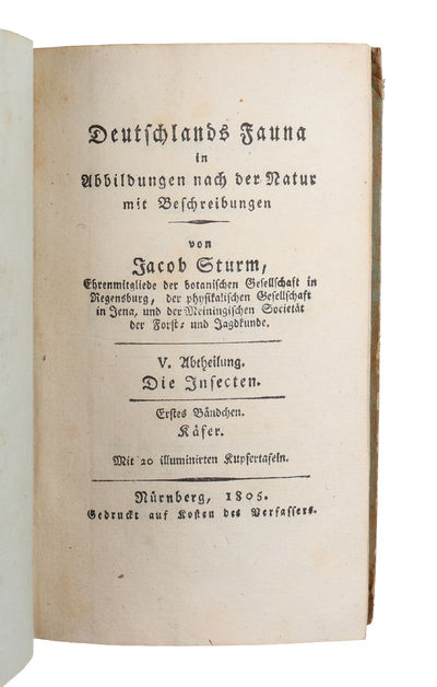 Deutschlands Insecten. 1.-3. Bd. (photo 2)