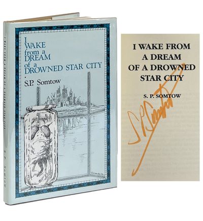 I Wake from a Dream of a Drowned Star City