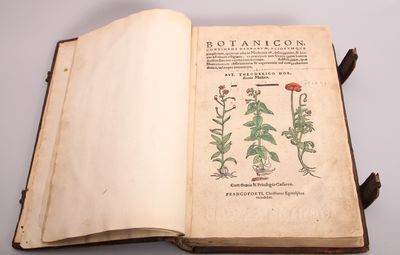 Botanicon, Continens Herbarum, Aliorumque…