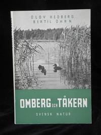 OMBERG OCH TÅKERN.