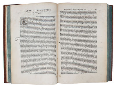 Saxonis Grammatici Danorum Historiae libri XVI, tre centis abhinc annis conscripta, tanta dictionis elegantia, rerung. gestarum varietate, ut cum omni vetustate contendere optimo iure videri possint. Accessit rerum memorabilium Index locupletissimus. ... (photo 3)