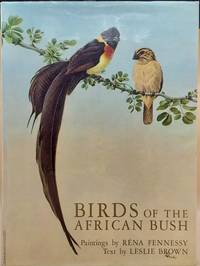 Birds of the African Bush