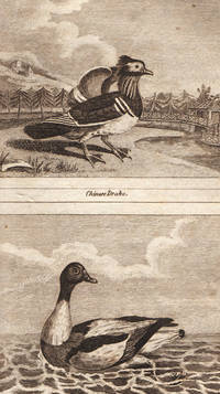 image of Natural History of Birds, Fish, Insects and Reptiles. Embellished with upwards of two hundred engravings